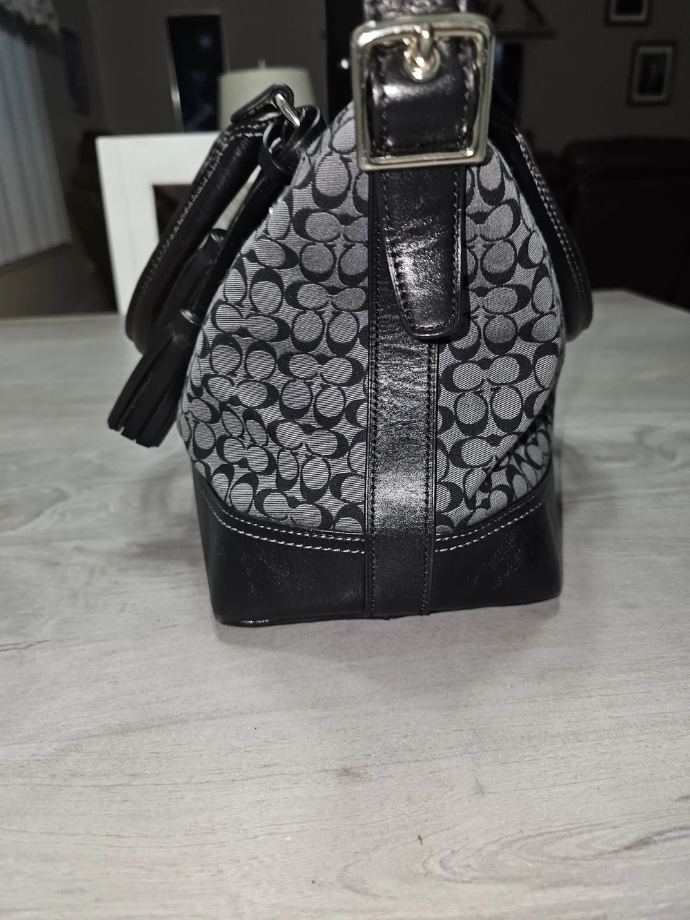 Coach Signature Legacy Stripe Molly Satchel with Tassel - Picture 5 of 14